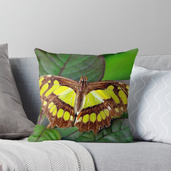 Item preview, Scarce bamboo page designed and sold by supergold.