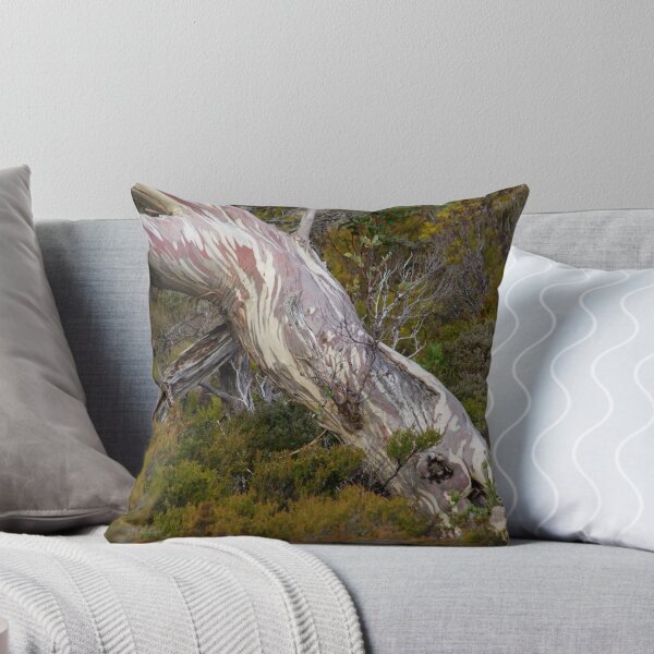 Item preview, Eucalyptus designed and sold by Traffordphotos.