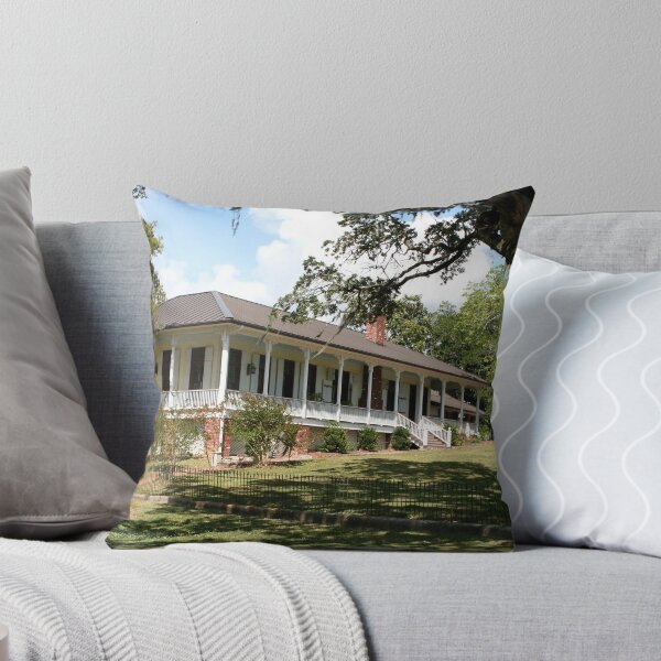 Item preview, Creole Cottage designed and sold by mcleod.