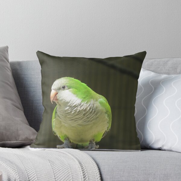 Item preview, Wild Quaker/Monk Parakeet designed and sold by GreyFeather.