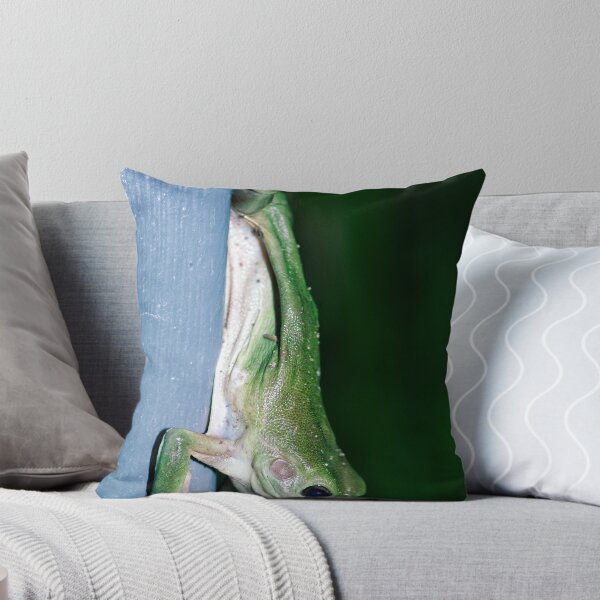 Item preview, Green Tree Frog - Darwin NT designed and sold by AllshotsImaging.