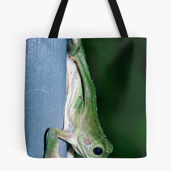 Item preview, Green Tree Frog - Darwin NT designed and sold by AllshotsImaging.