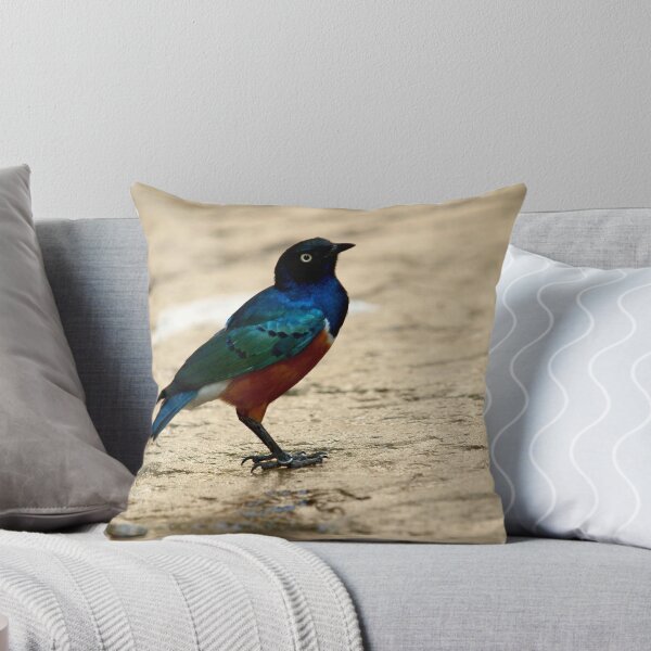 Item preview, Little Bird Personality designed and sold by tigerwings.