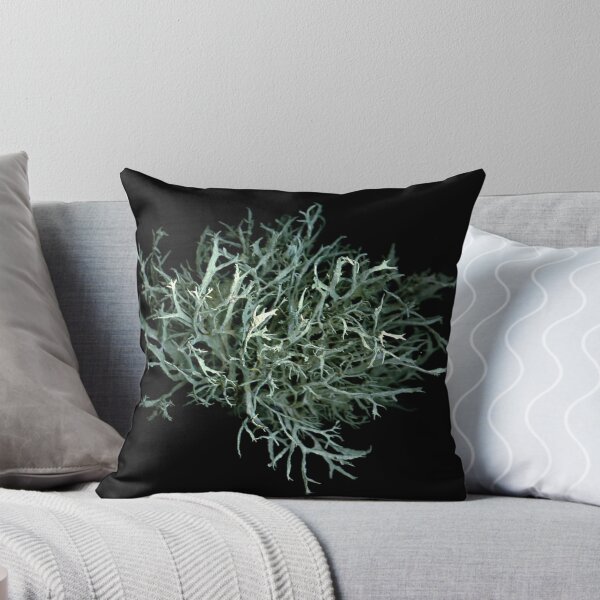 Item preview, Moss Bush designed and sold by Marvin Hayes.