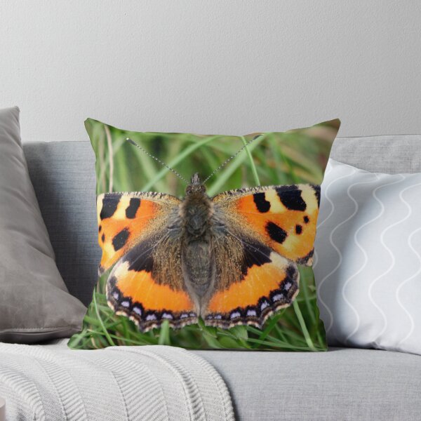 Item preview, Small Tortoiseshell (Aglais urticae L.)  designed and sold by DutchLumix.