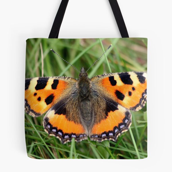 Item preview, Small Tortoiseshell (Aglais urticae L.)  designed and sold by DutchLumix.
