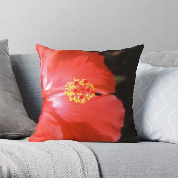 A Hummingbird's Sweet Spot Throw Pillow
