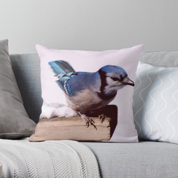 Bluejay Posing For A Nut Throw Pillow
