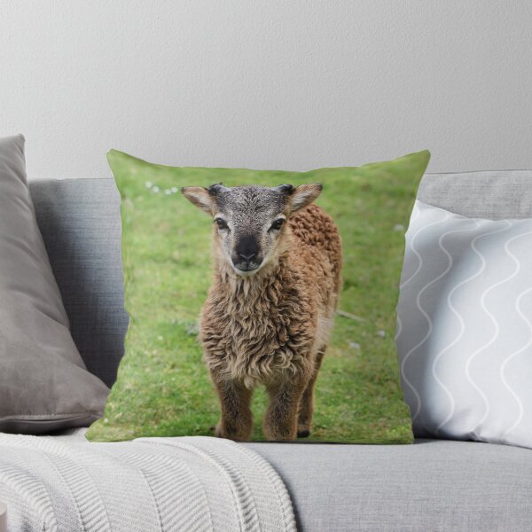 Item preview, special lamb designed and sold by JamesRatchford.