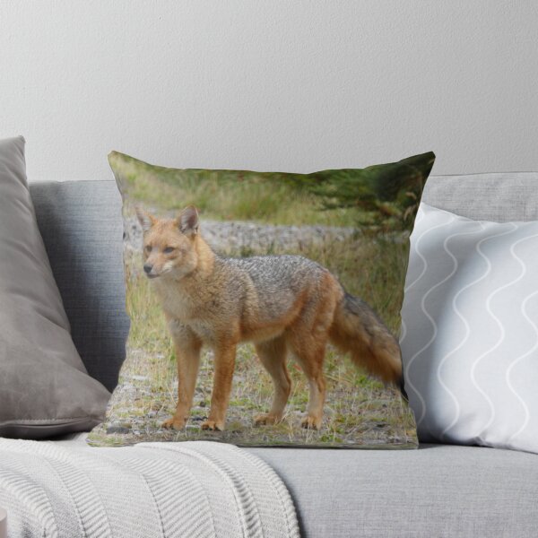 Item preview, '' FOXY '' designed and sold by Dawn1951.