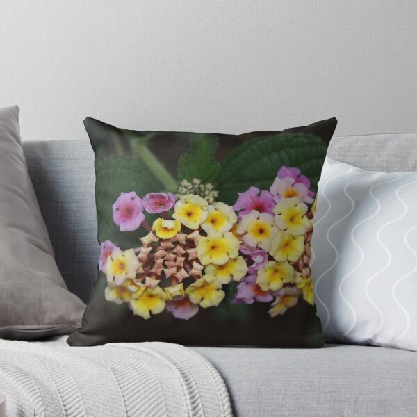 Item preview, Lantana designed and sold by AnnDixon.