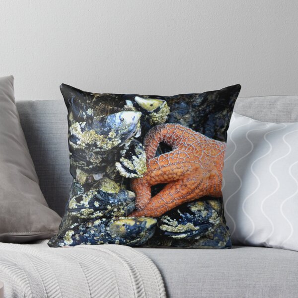 Item preview, Starfish designed and sold by ZWC Photography.