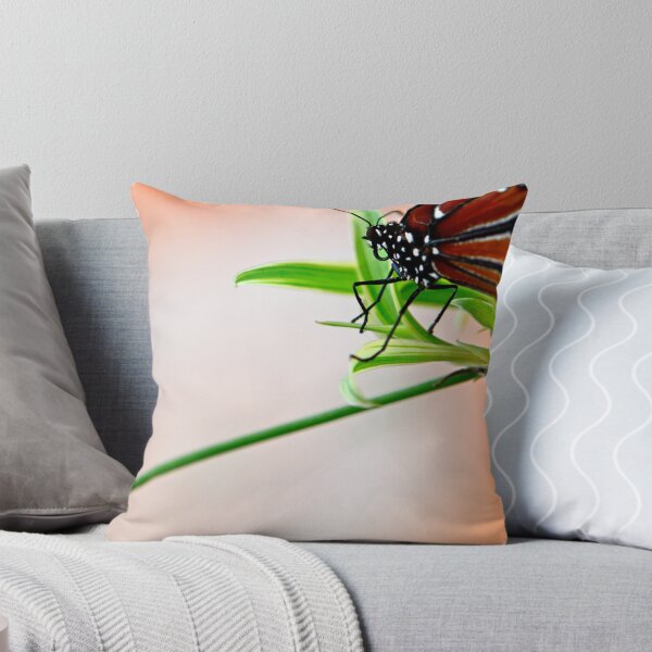 Item preview, sin cultivo designed and sold by Ainsley Kellar Creations.