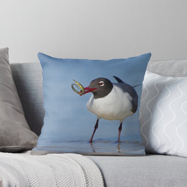 Item preview, Laughing Gull Catching Pipefish. designed and sold by Daniel Cadieux.