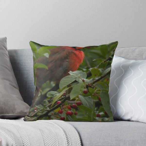 Item preview, Ohio's State Bird designed and sold by lindybird.