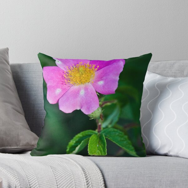 Item preview, Prairie Rose designed and sold by Adam Bykowski.