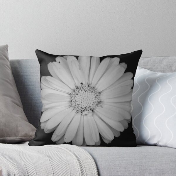 Item preview, Calendula flower designed and sold by Laura Melis Photography.