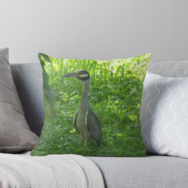 Item preview, Yellow-Crowned Night Heron Being Friendly designed and sold by Navigator.