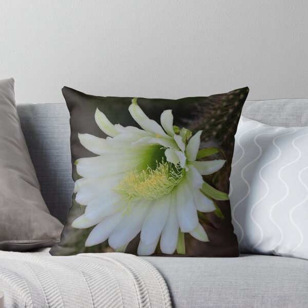 Item preview, Echinopsis designed and sold by Saija  Lehtonen.