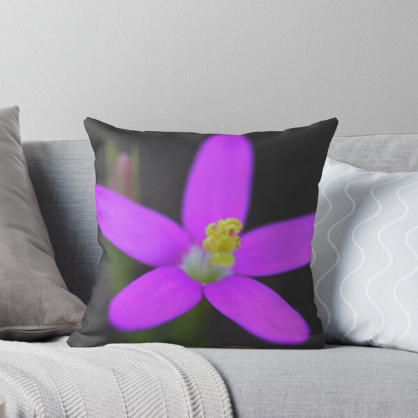 Item preview, Schenkia spicata  designed and sold by andrachne.
