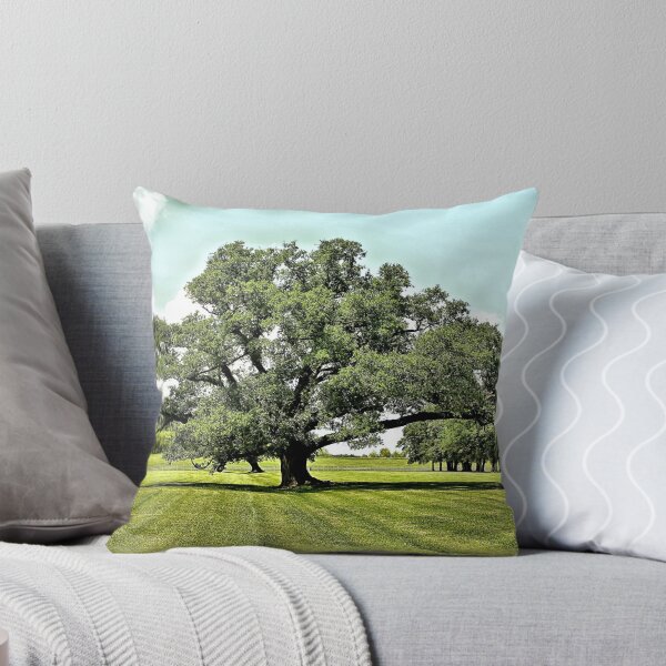 Item preview, What I Have Seen designed and sold by SuddenJim.