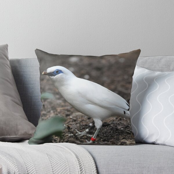 Item preview, Bali Starling designed and sold by Dorothy Thomson.