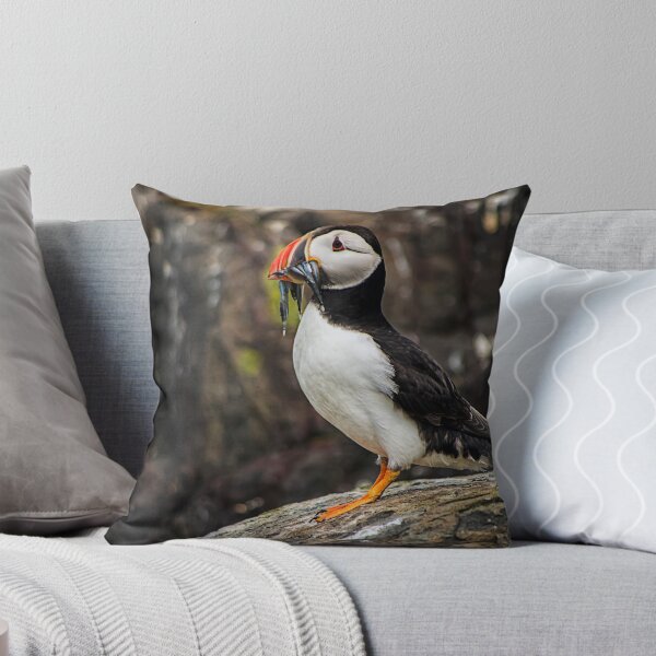 Artikelvorschau, Puffin - Dinner Time entworfen und verkauft von FranJ.