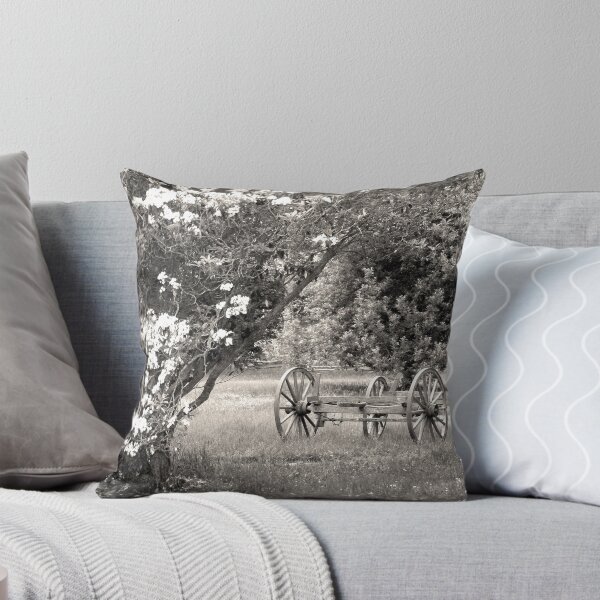 Item preview, In The Spring Of Mabry's Mill  designed and sold by ThinkPics.
