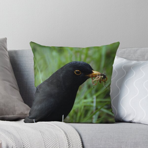 Item preview, Dinner Time (Peebles) designed and sold by photobymdavey.