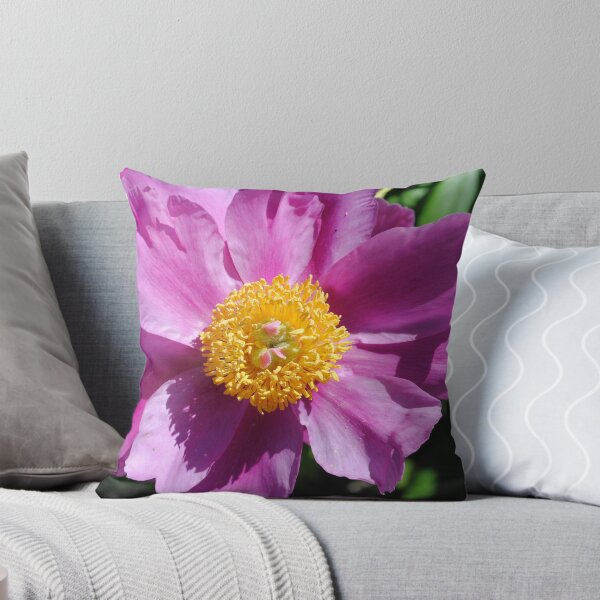 Item preview, Sweet Anne designed and sold by Sandra Fortier.