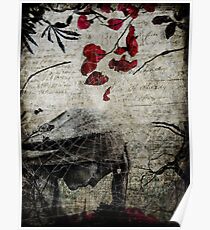 Rain of Rose Petals Poster
