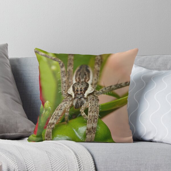 Item preview, Lynx Spider designed and sold by Andi Surjanto.