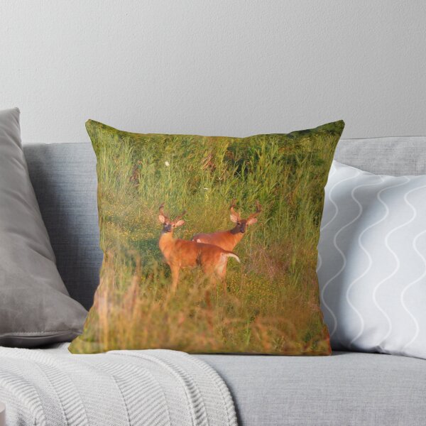 Item preview, Sunset Bucks designed and sold by Ron Russell.