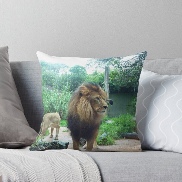 Item preview, Still King.. designed and sold by debsphotos.