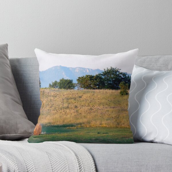 Item preview, Living the Moment-Monterosi, Italy designed and sold by Deborah Downes.