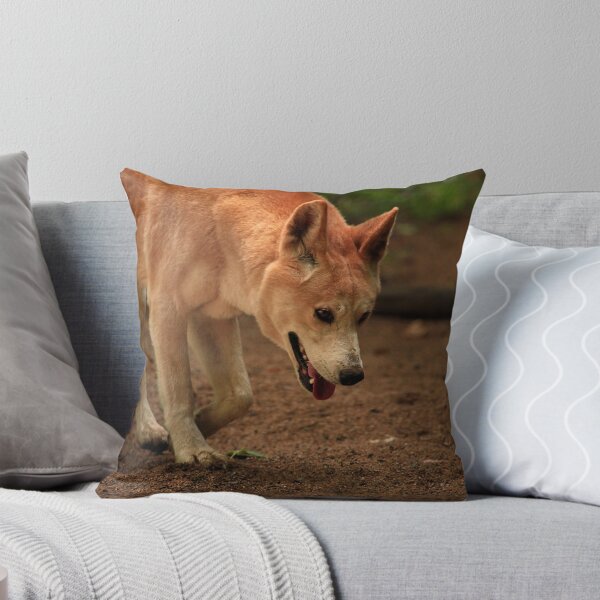 Item preview, Australian Dingo designed and sold by Noelene Kuzmann Photography and Art.