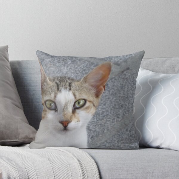 Item preview, the most beautiful cat in town designed and sold by annet goetheer.