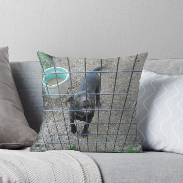 Item preview, come play with me designed and sold by Phototeen.