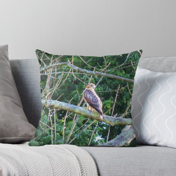 Item preview, Young Redtail Hawk designed and sold by Ron Russell.