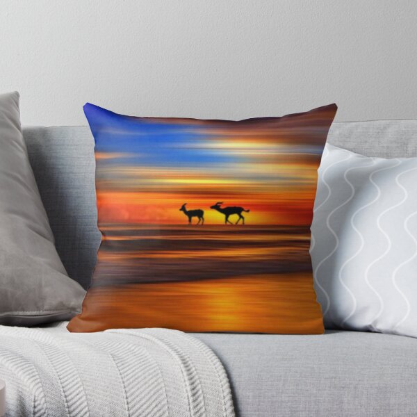 Sunset 4 Throw Pillow