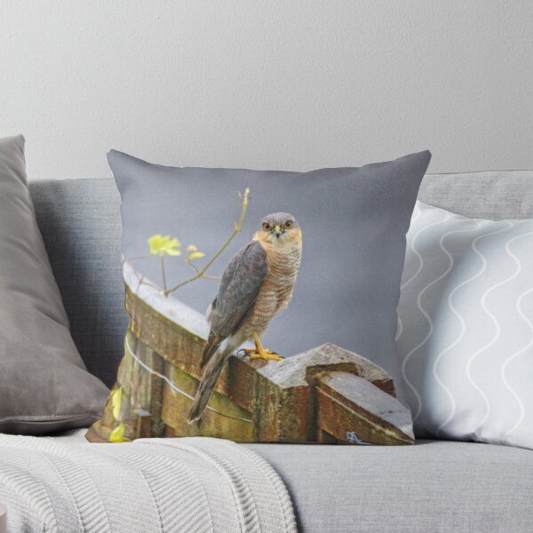 Item preview, Sparrowhawk On My Fence designed and sold by Jamie  Green.