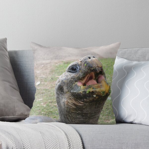 Item preview, FEED ME PLEASE - galapagos tortoise designed and sold by springs.