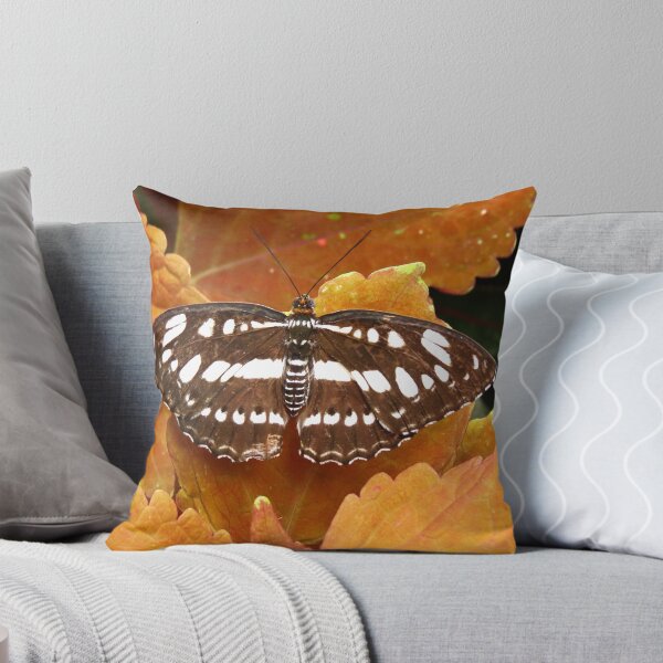 Aperçu de l'œuvre Dot-Dash Sergent Butterfly créée et vendue par Ron Russell.