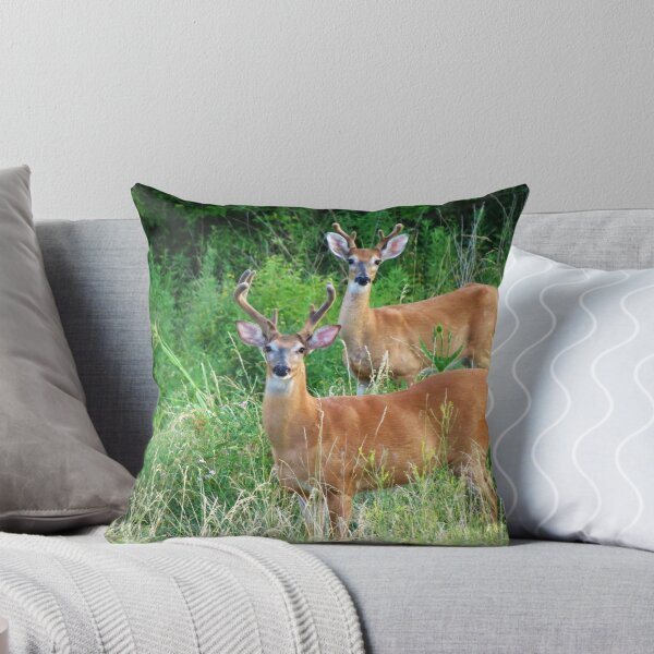 Item preview, Local Neighbors designed and sold by Ron Russell.