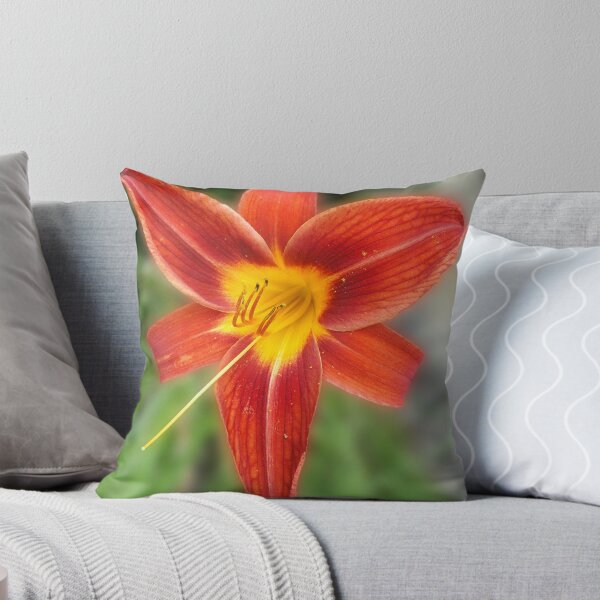 Item preview, Pretty Red Daylily designed and sold by Carolyn  Fletcher.
