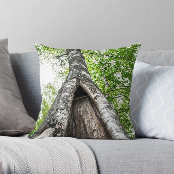 https://ih1.redbubble.net/image.799565781.5388/throwpillow,small,600x-bg,f8f8f8-c,0,120,600,600.u3.jpg