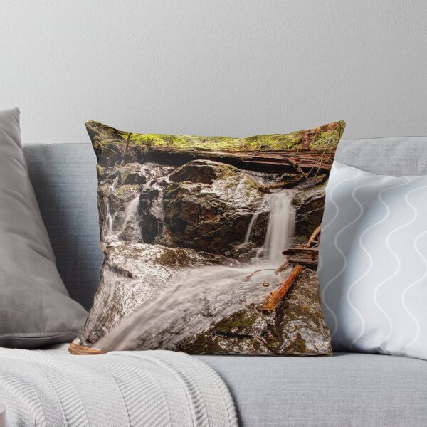 Item preview, Brook on the Path to Heather Lake designed and sold by Dale Lockwood.