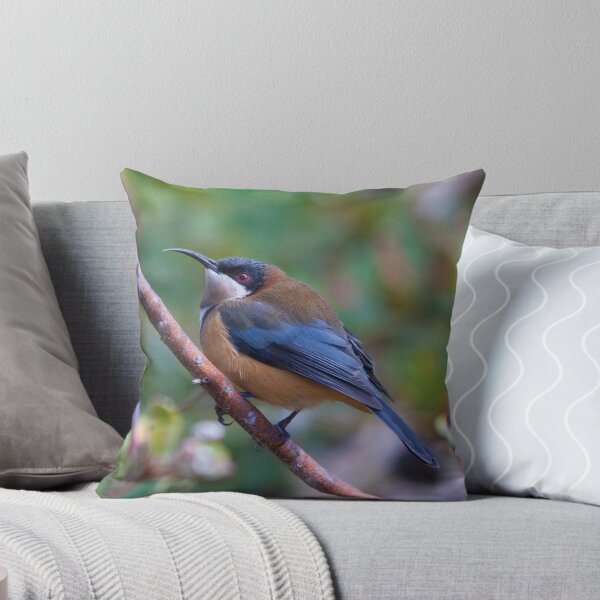 Item preview, Eastern spinebill designed and sold by tarnyacox.