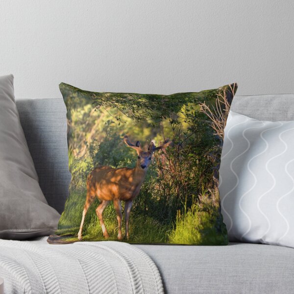 Item preview, Deer Enchanted designed and sold by James (820Photography) Anderson.