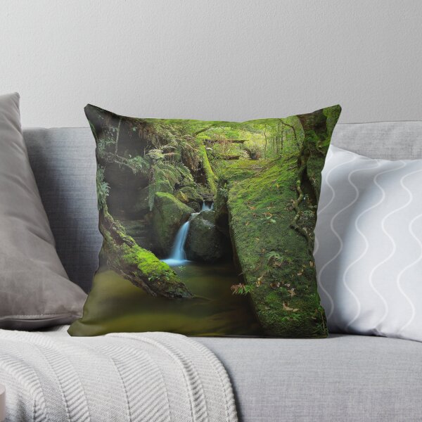 Salote Pool Throw Pillow